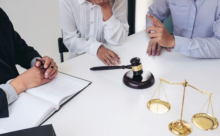 Litigation Team